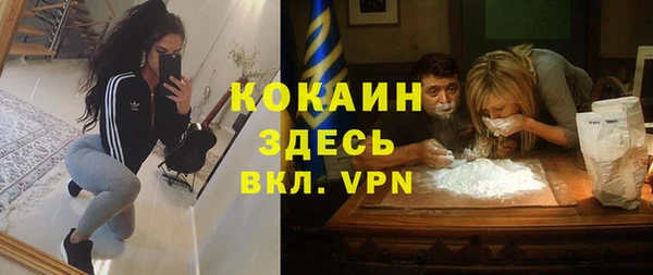 индика Похвистнево