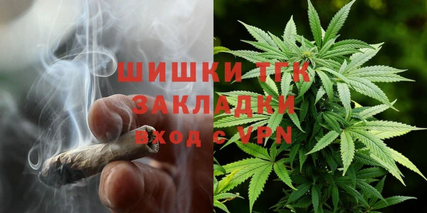 ECSTASY Бикин