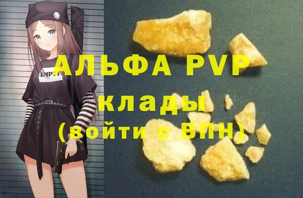 СК Зерноград