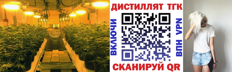 мориарти клад  Кукмор  Дистиллят ТГК жижа  купить наркоту 
